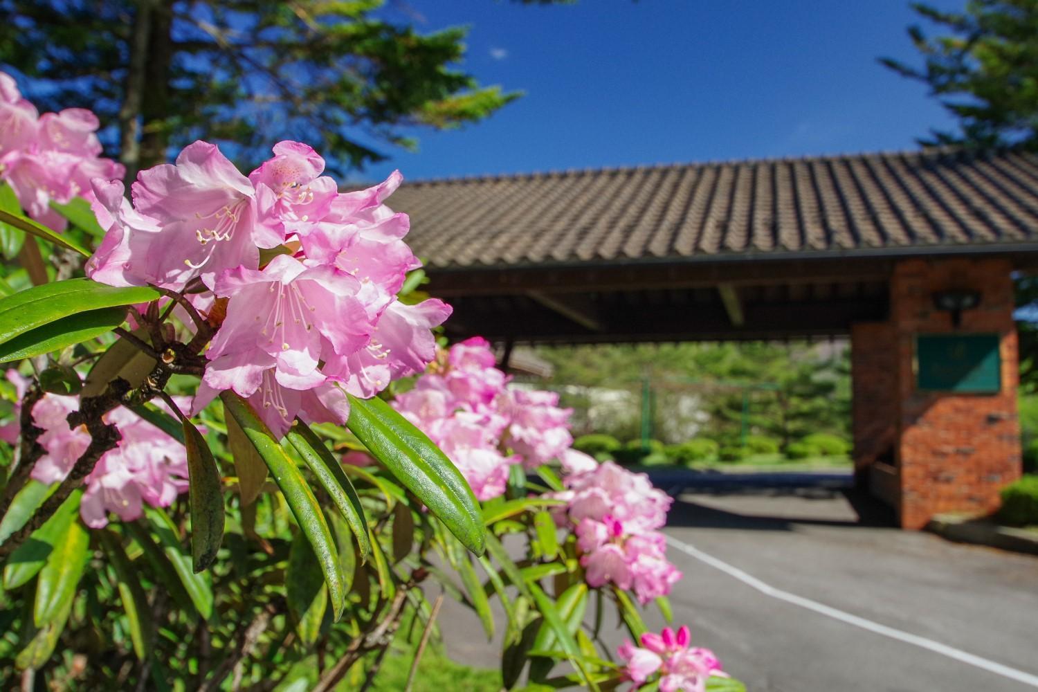 Tsumagoi Prince Hotel Esterno foto